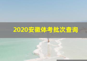 2020安徽体考批次查询