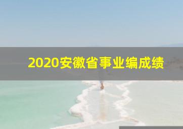 2020安徽省事业编成绩