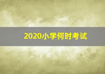 2020小学何时考试