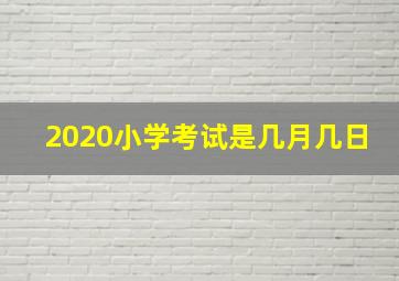 2020小学考试是几月几日