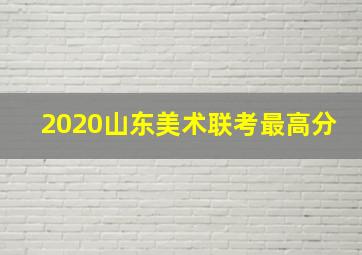 2020山东美术联考最高分