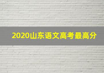 2020山东语文高考最高分