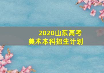 2020山东高考美术本科招生计划