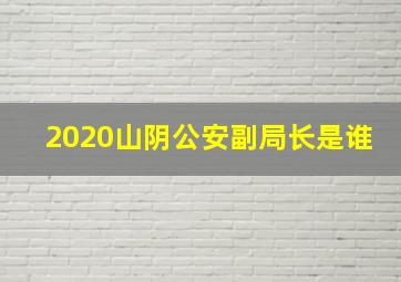 2020山阴公安副局长是谁