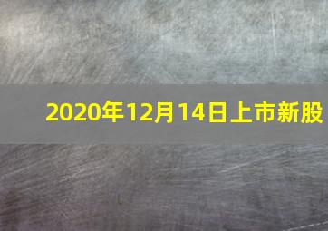 2020年12月14日上市新股