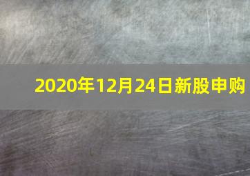 2020年12月24日新股申购