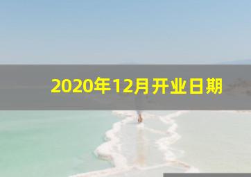 2020年12月开业日期