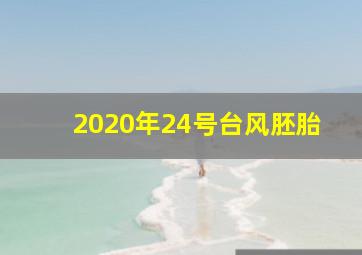 2020年24号台风胚胎