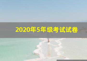 2020年5年级考试试卷