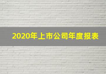 2020年上市公司年度报表