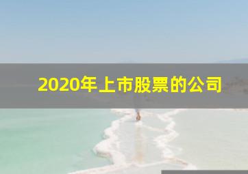 2020年上市股票的公司