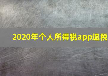 2020年个人所得税app退税