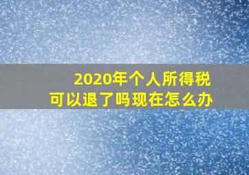 2020年个人所得税可以退了吗现在怎么办