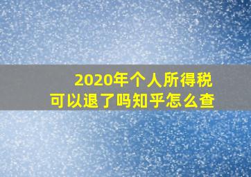 2020年个人所得税可以退了吗知乎怎么查