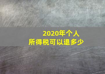 2020年个人所得税可以退多少