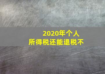 2020年个人所得税还能退税不