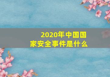 2020年中国国家安全事件是什么