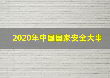 2020年中国国家安全大事