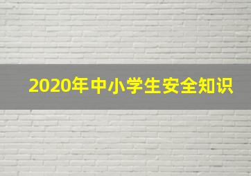 2020年中小学生安全知识