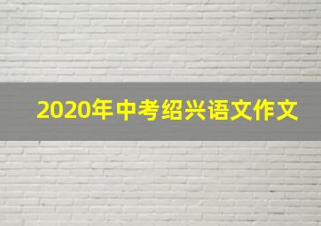 2020年中考绍兴语文作文