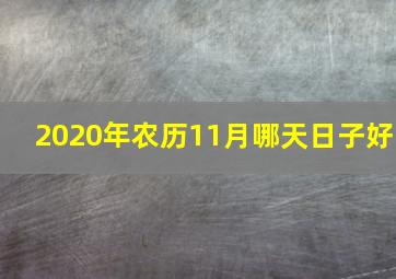 2020年农历11月哪天日子好