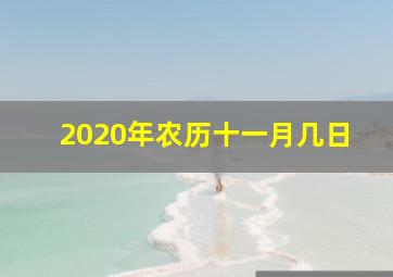 2020年农历十一月几日