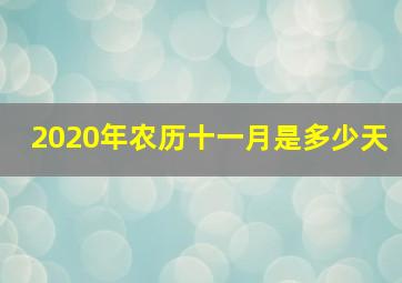 2020年农历十一月是多少天