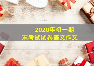 2020年初一期末考试试卷语文作文