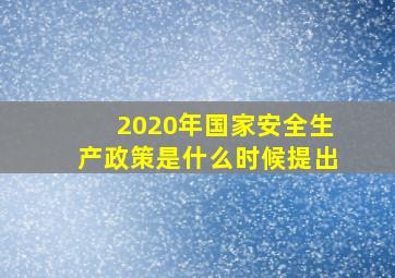 2020年国家安全生产政策是什么时候提出