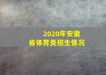 2020年安徽省体育类招生情况