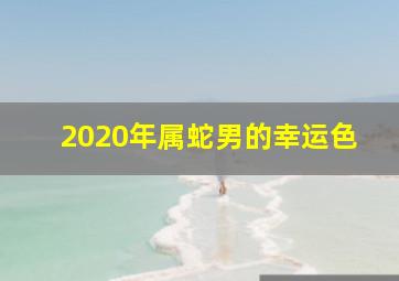 2020年属蛇男的幸运色