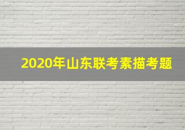 2020年山东联考素描考题