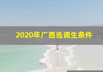 2020年广西选调生条件