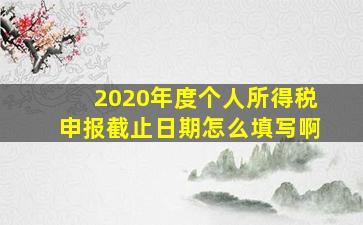 2020年度个人所得税申报截止日期怎么填写啊