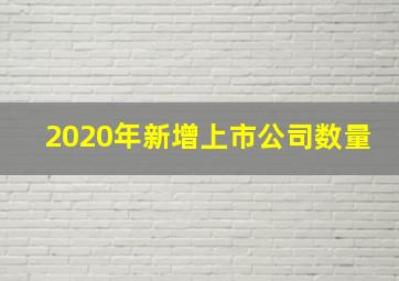 2020年新增上市公司数量