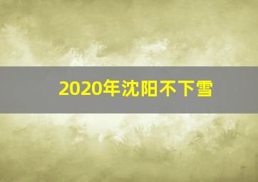 2020年沈阳不下雪