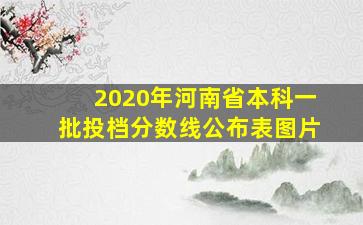 2020年河南省本科一批投档分数线公布表图片