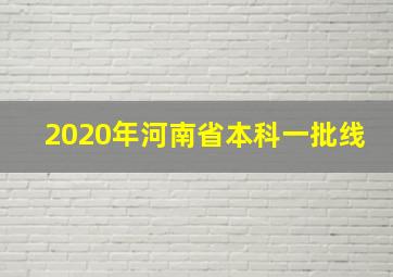 2020年河南省本科一批线