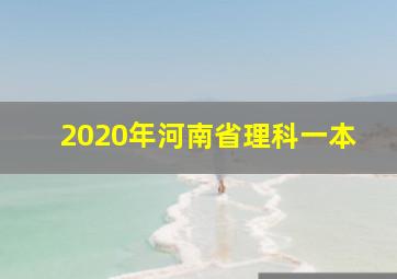 2020年河南省理科一本