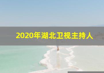 2020年湖北卫视主持人