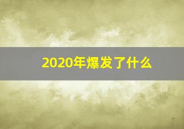 2020年爆发了什么