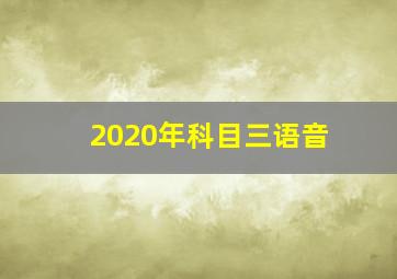 2020年科目三语音