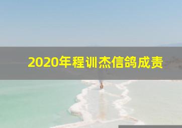 2020年程训杰信鸽成责