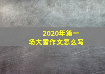 2020年第一场大雪作文怎么写