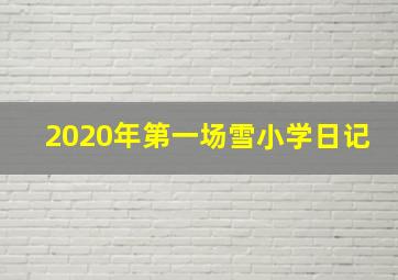 2020年第一场雪小学日记