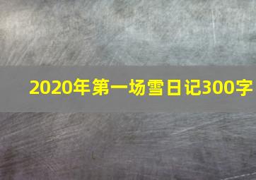 2020年第一场雪日记300字