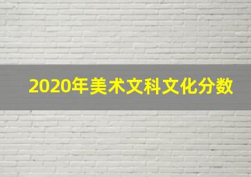 2020年美术文科文化分数