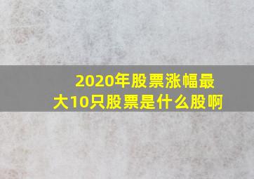 2020年股票涨幅最大10只股票是什么股啊