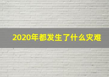 2020年都发生了什么灾难