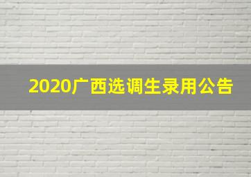 2020广西选调生录用公告